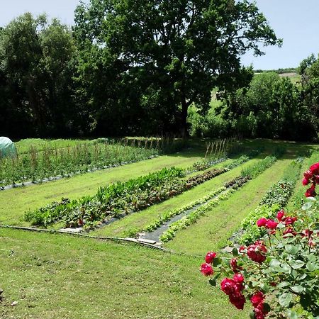 Madonnella Agricola Βίλα Cesano Εξωτερικό φωτογραφία
