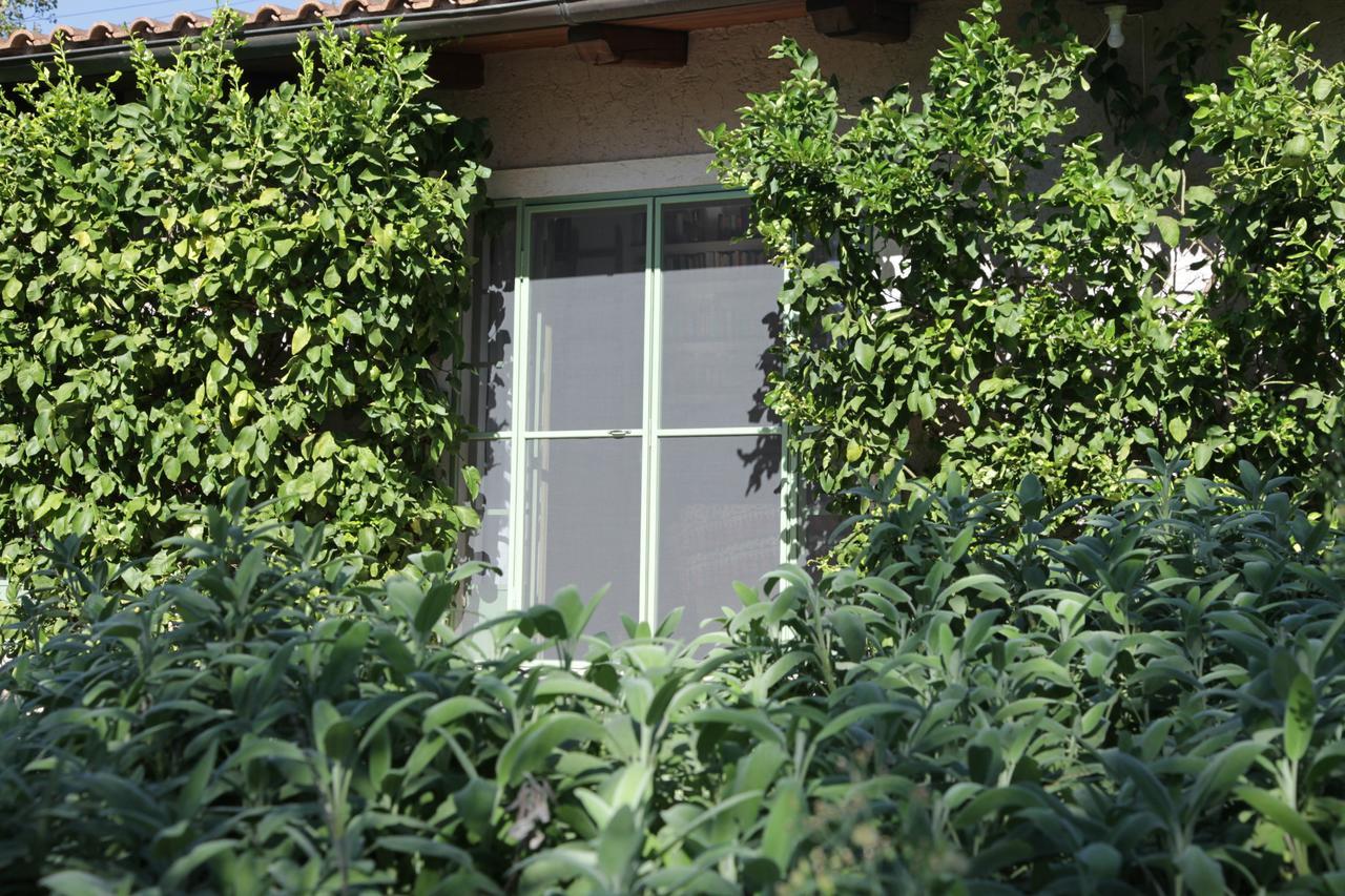 Madonnella Agricola Βίλα Cesano Εξωτερικό φωτογραφία