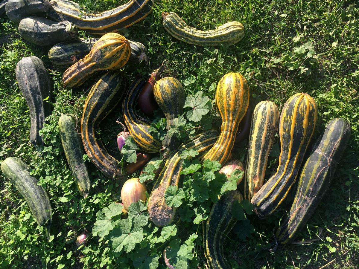 Madonnella Agricola Βίλα Cesano Εξωτερικό φωτογραφία