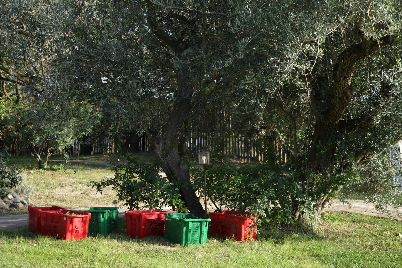 Madonnella Agricola Βίλα Cesano Εξωτερικό φωτογραφία