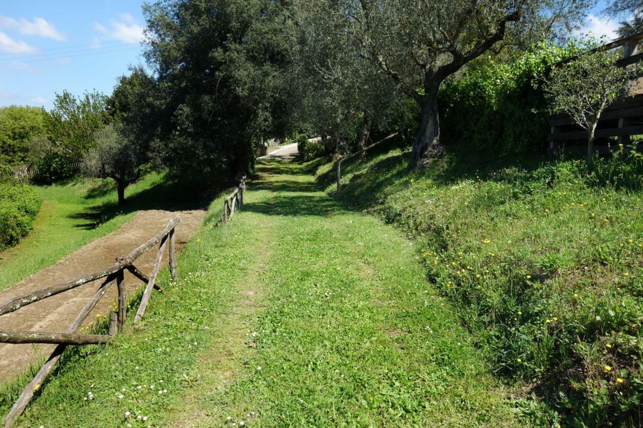 Madonnella Agricola Βίλα Cesano Εξωτερικό φωτογραφία