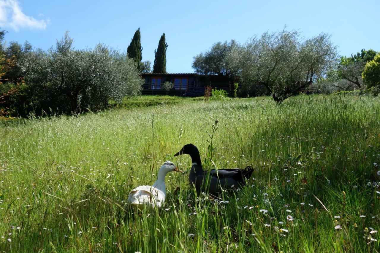Madonnella Agricola Βίλα Cesano Εξωτερικό φωτογραφία