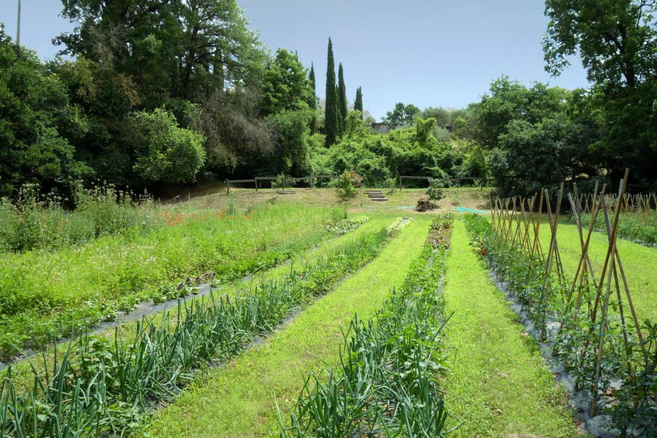 Madonnella Agricola Βίλα Cesano Εξωτερικό φωτογραφία
